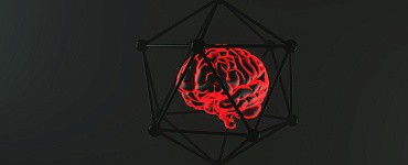 Мозг и нейронауки: научный подход к развитию памяти, внимания и энергии