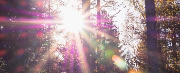 Психолог-практик. Интегративный подход