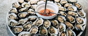 Всё о морепродуктах для начинающих